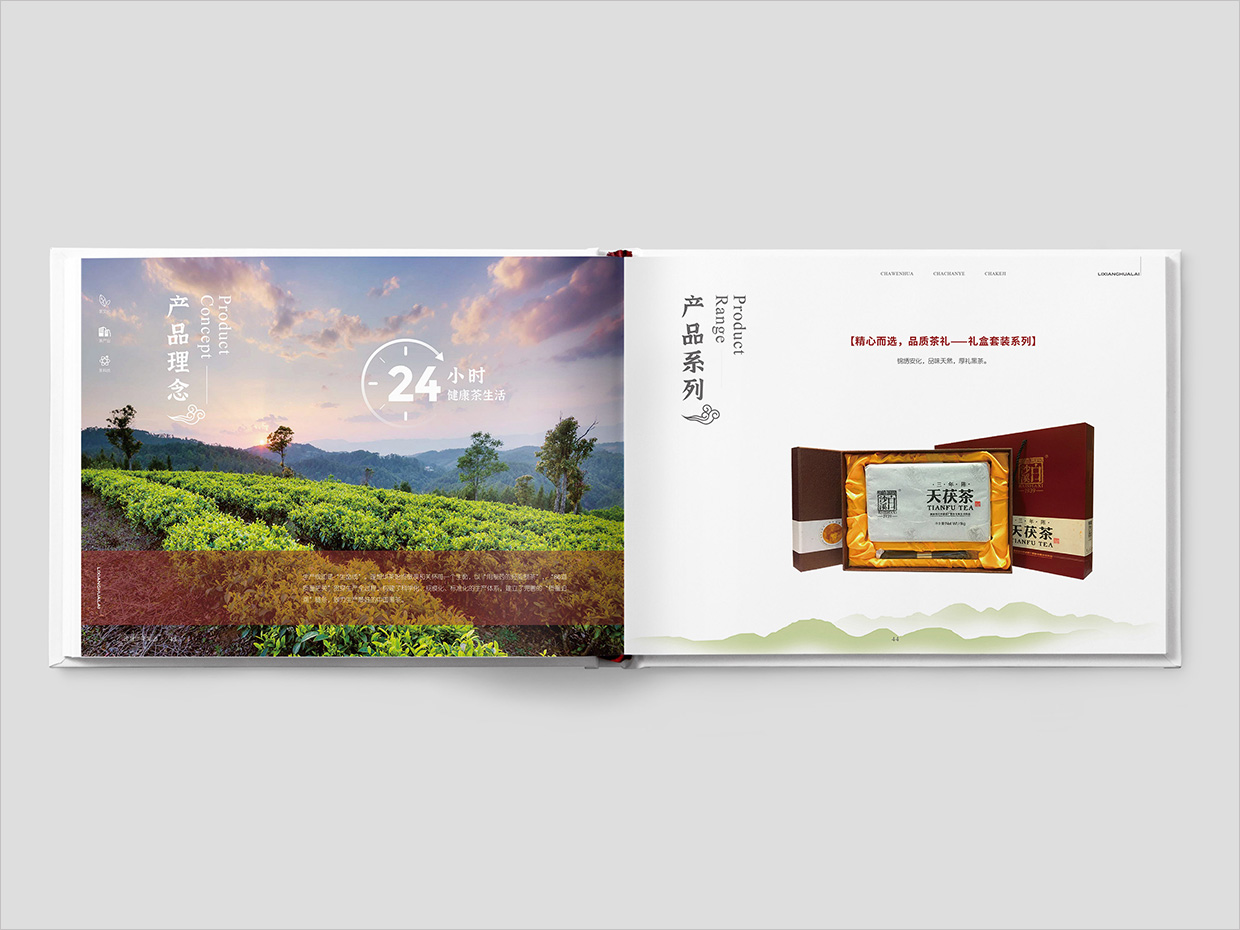理想華萊科技集團公司畫冊設計之產(chǎn)品介紹頁面設計