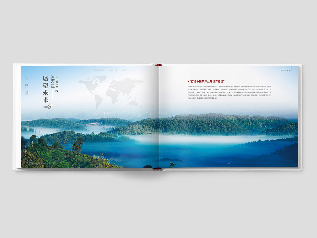 理想華萊科技集團公司畫冊設計之展望未來頁面設計